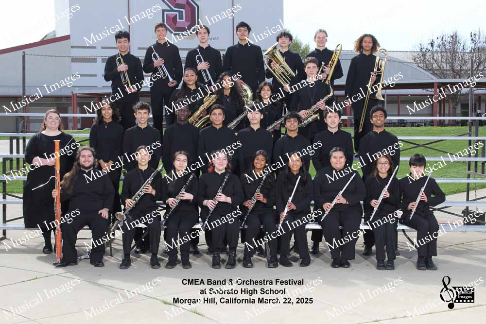 Musical Images